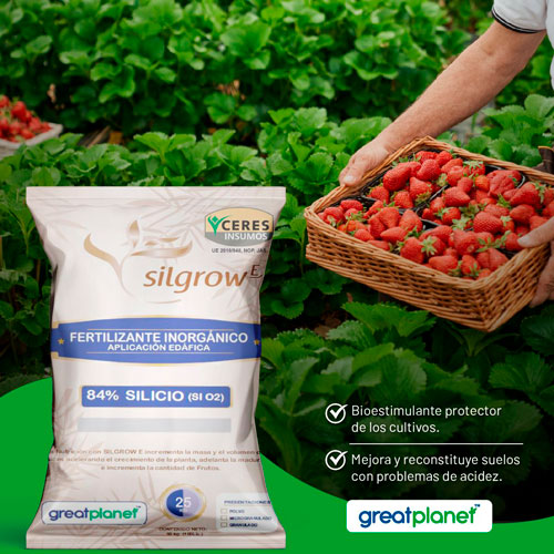 agricola